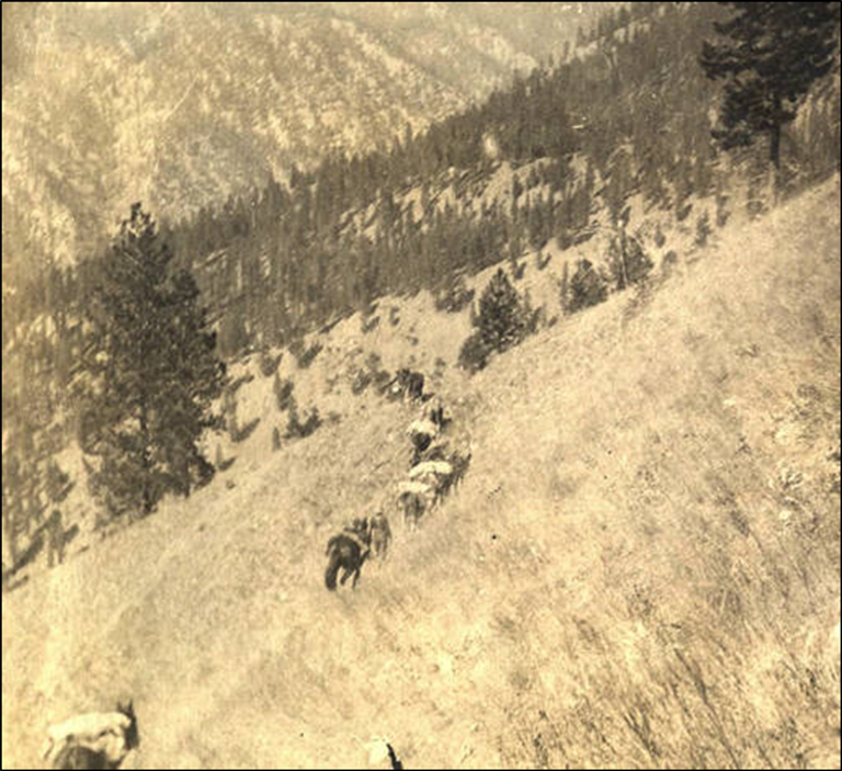 Three Blaze Trail